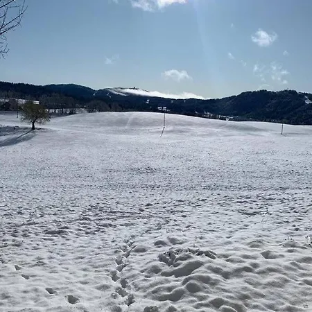 T2 Tout Confort, Depart Ski De Fond Depuis Le Jardin Apartment *